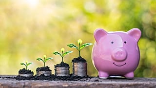 عکس تزیینی است