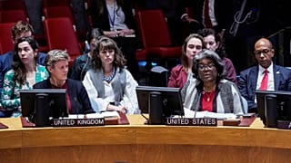 UN Security Council