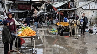 أكشاك لبيع الفواكه في قطاع غزة 
