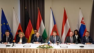 Ministers from the V4 group of Central European countries plus Austria and Germany.