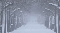 Der erste Schnee in Stockholm, Schweden. 