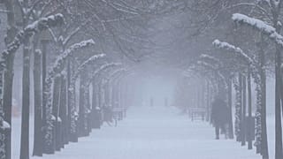 Queda de neve na Europa