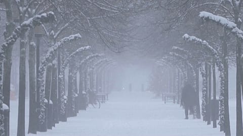 Der erste Schnee in Stockholm, Schweden. 