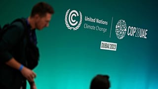The UN climate summit in Dubai is due to kick off this week.