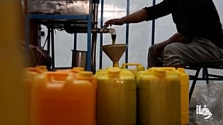 مزارعون فلسطينيون يستأنفون إنتاج زيت الزيتون في غزة خلال الهدنة القصيرة