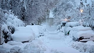 Schneebedeckte Autos nach heftigem Schneefall in München. 2. Dezember 2023