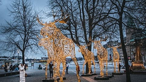 Lichter in Stockholm 