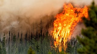 Die Flammen eines Waldbrandes brennen entlang eines Bergrückens in Fort St. John, British Columbia, Kanada, Juli 2023\.