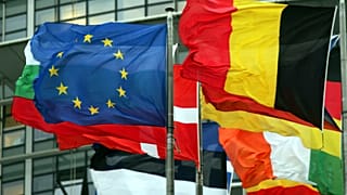 Flags of the European Union countries fly at the entrance of the European Parliament in Strasbourg, 18 January 2007, on the last day of the January Plenary Session of the Euro