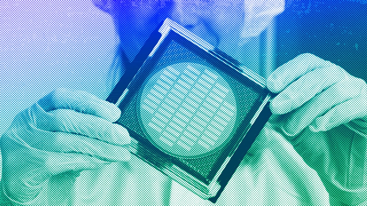 shows a wafer with photonic chips for quantum computing at the technology company Q.ant in Stuttgart, September 2021