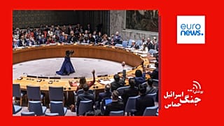 شورای امنیت سازمان ملل متحد