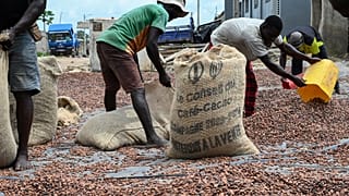 Il settore agricolo continua ad essere al contempo tra i più esposti di fronte ai cambiamenti climatici e tra i più nocivi in termini di emissioni di gas ad effetto serra