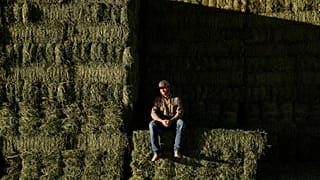 Farmer Matthew Hancock vor Luzerneballen auf seiner Farm im McMullen Valley in Wenden, Arizona, 17. Oktober 2023