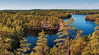 Finland's plans to go carbon negative include expanding its forests.