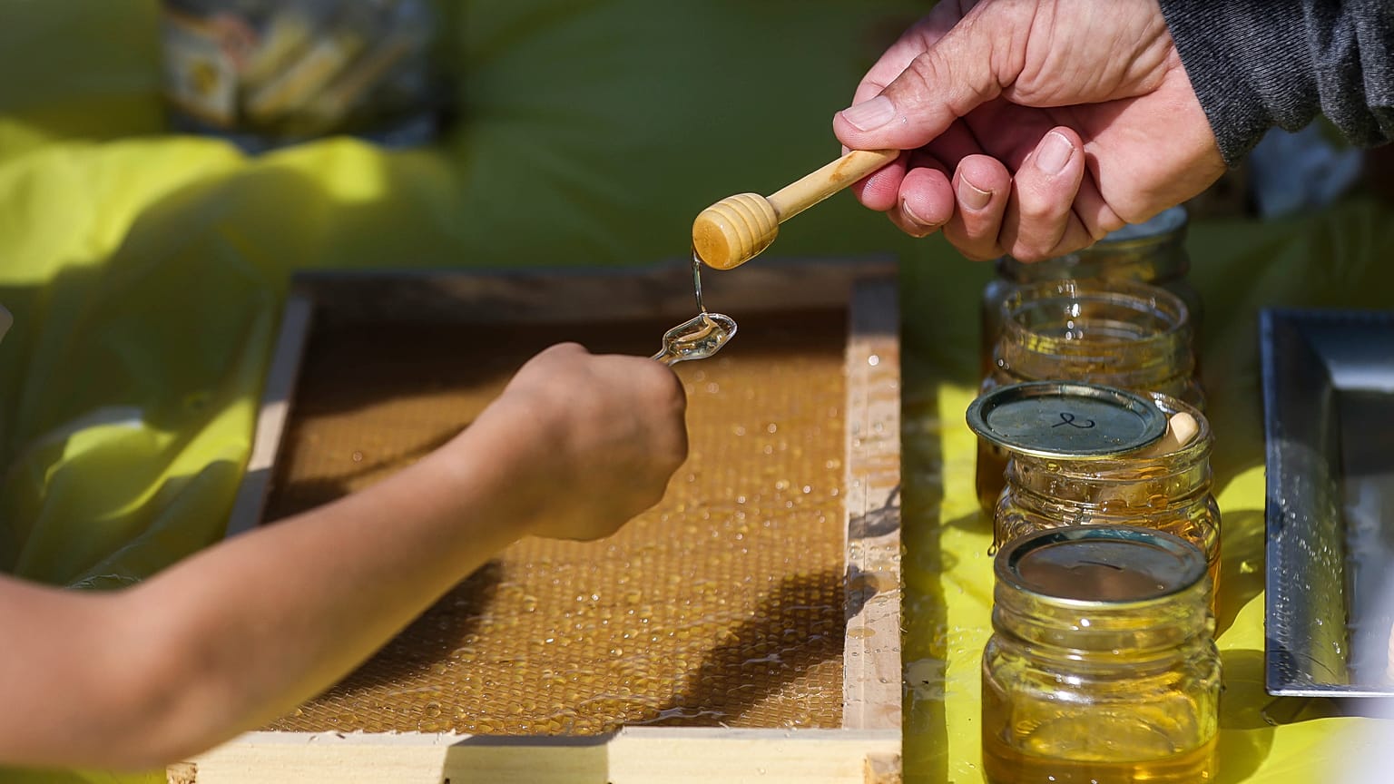 Το Ευρωπαϊκό Κοινοβούλιο ελπίζει να αντιστρέψει την έξαρση της απάτης που πλήττει τον τομέα του μελιού μέσω νέων μέτρων της ΕΕ για την επισήμανση.