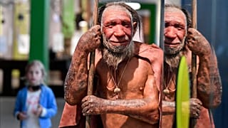 تندیس مومی یک نئاندرتال فرضی در موزه