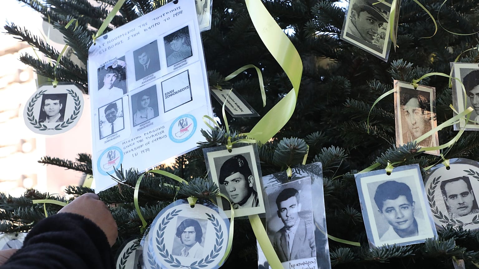 ΤΟ ΧΡΙΣΤΟΥΓΕΝΝΙΑΤΙΚΟ ΔΕΝΤΡΟ ΤΩΝ ΑΓΝΟΟΥΜΕΝΩΝ (ΠΗΓΗ ΦΩΤΟ: ΔΗΜΟΣ ΛΕΥΚΩΣΙΑΣ)