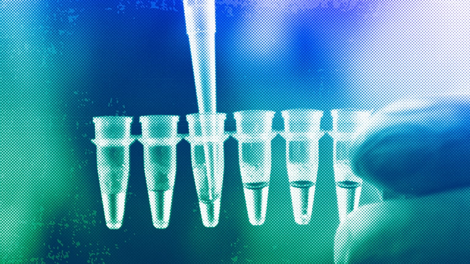A demonstration of a DNA-sequencing test in Stuttgart, January 2005