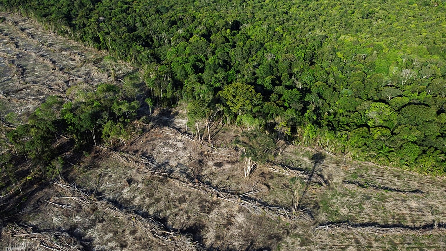 Swathes of rainforest cleared for agriculture in Para state, Brazil, June 1, 2023,