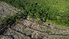 Swathes of rainforest cleared for agriculture in Para state, Brazil, June 1, 2023,