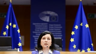 نائبة رئيس المفوضية الأوروبية المعنية بالقيم والشفافية فيرا يوروفا .