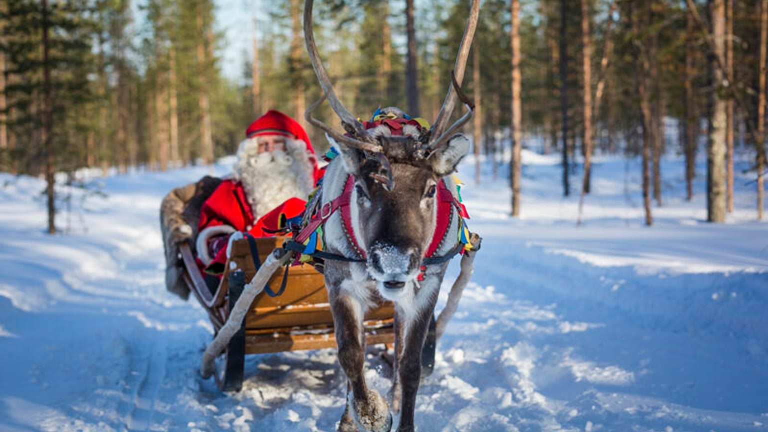 Babbo Natale con la slitta