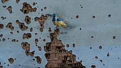 Guerra na Ucrânia aproxima-se da marca dos dois anos