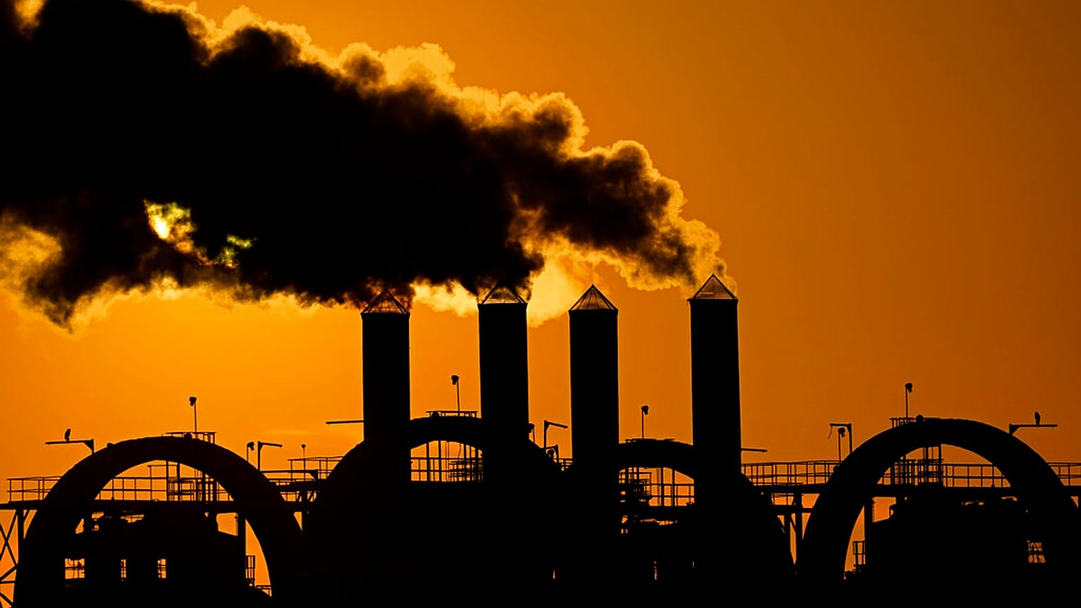 The ECB wants banks to comply with green norms