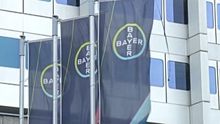 A Monsanto a Bayer leányvállalata - képünk illusztráció