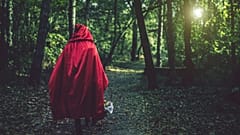 Little Red Riding Hood