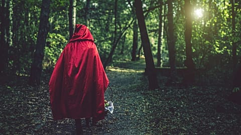 Little Red Riding Hood