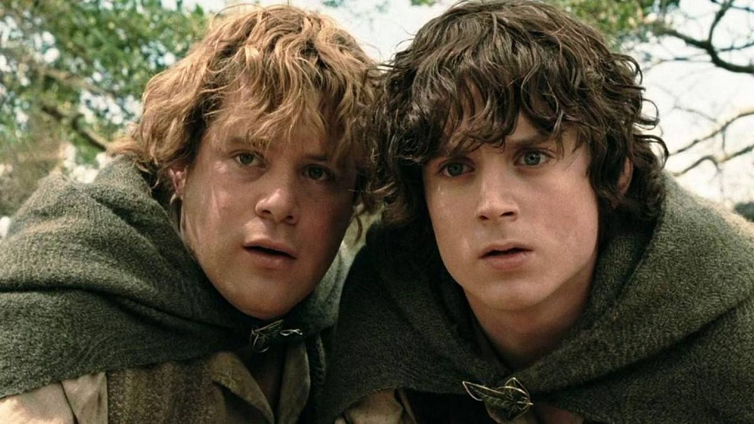 A fanfiction author's unauthorised sequel to The Lord of the Rings is copyright infringement, a court ruled.