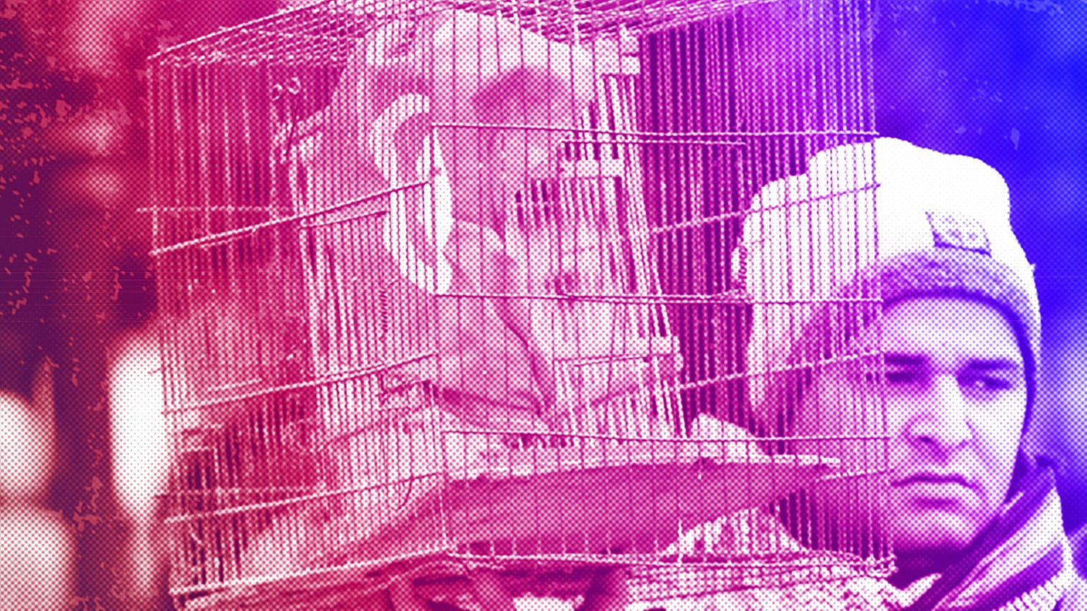 A Tunisian holds a bird cage countaining his national flag during a demonstration to mark the eighth anniversary of the democratic uprising in Tunis, January 2019
