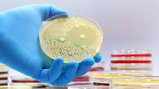 Científicos descubren los primeros antibióticos nuevos en más de 60 años gracias a la IA