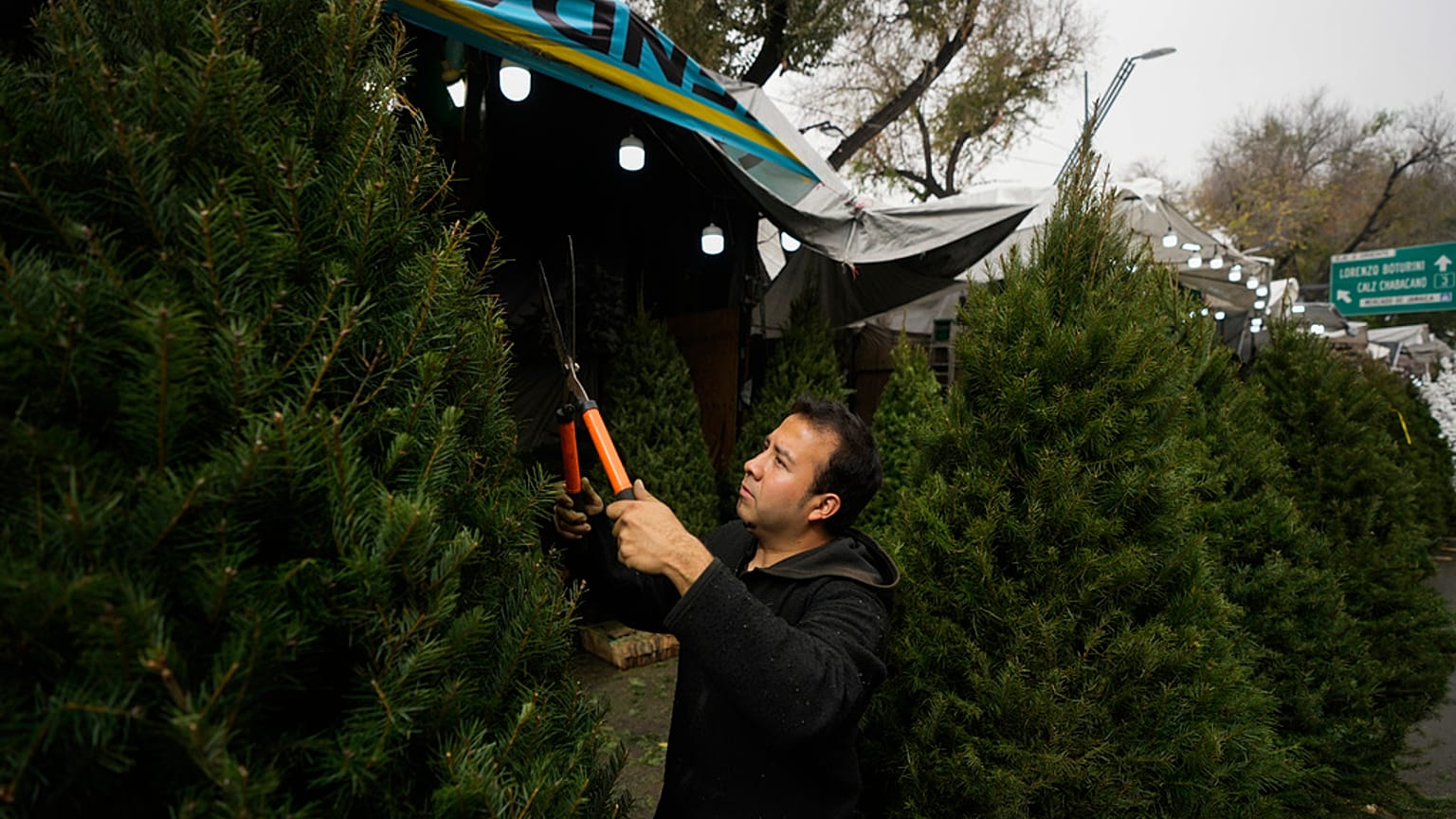 Ein Weihnachtsbaumverkäufer in Mexiko-Stadt am 14.12.23