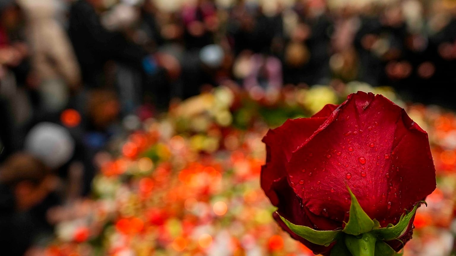 Um memorial foi colocado junto da entrada da Universidade Carolina de Praga