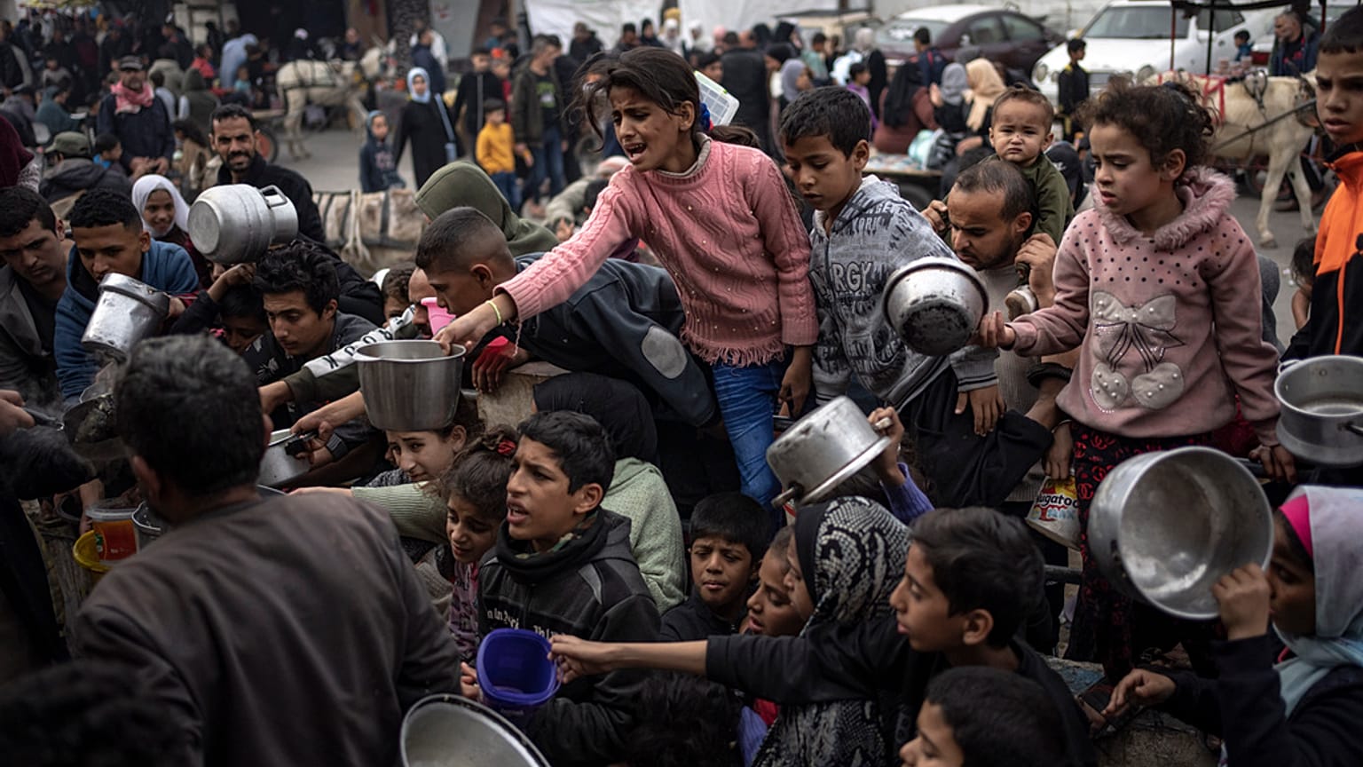 Un demi-million de personnes, soit près d'un quart de la population de Gaza, souffre de la famine, alerte l’ONU..