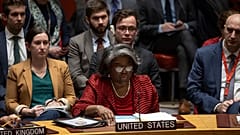 EE. UU. en el COnsejo de Seguridad de la ONU