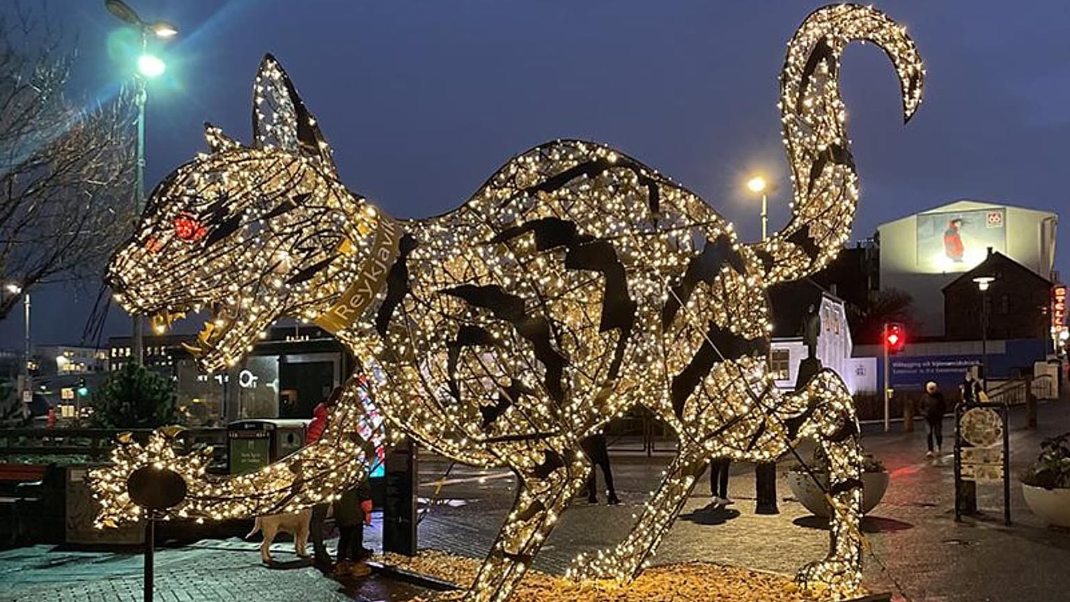 Have you met Jólakötturinn, the Icelandic anti-Santa? 