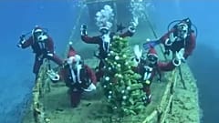 Οι Summer Divers  στο Νέμεσις
