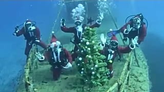 Οι Summer Divers  στο Νέμεσις