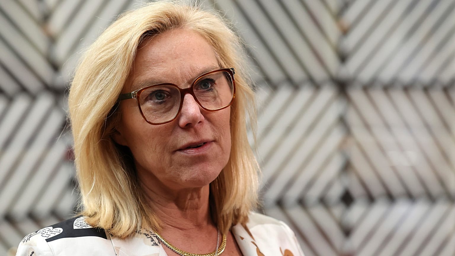 Eski Hollanda Başbakan Yardımcısı Sigrid Kaag