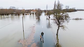 Ein Mann steht mit seinem Hund auf der überfluteten Landstraße zwischen Harkenbleck und Wilkenburg in Hemmingen.