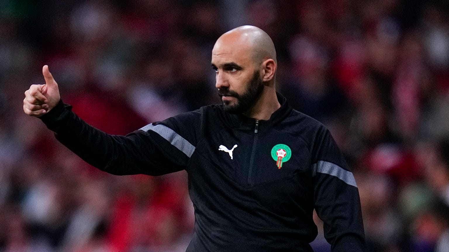 المدرب المغربي وليد الركراكي