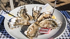 Oysters