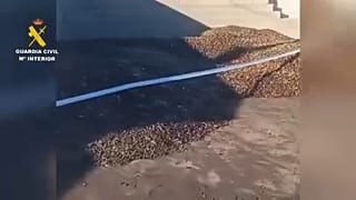 Ακατάλληλες ελιές