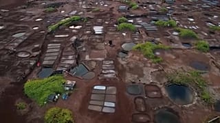 lepárlók Kauai szigetén