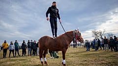 A man stands on a horse during Epiphany celebrations in the village of Pietrosani, Romania, Saturday, Jan. 6, 2024.