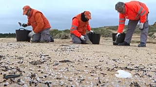 Labores de limpieza en el litoral gallego