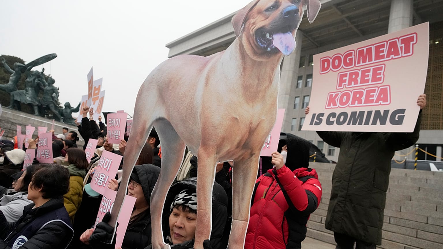 Aktivisten vor dem Parlament in Seoul am 9.1.24